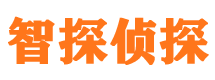 固阳市侦探公司